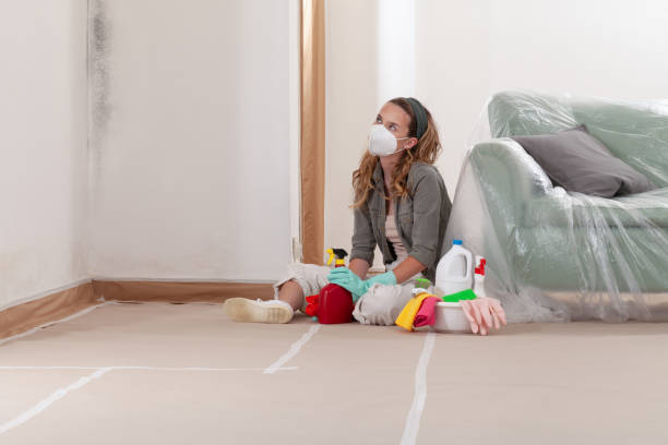 Reliable Mold Remediation contractor in Fords, NJ by WQB Mold Removal